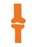 Metastasi Ossee